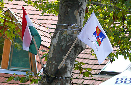 címeres villanyoszlop zászlók
